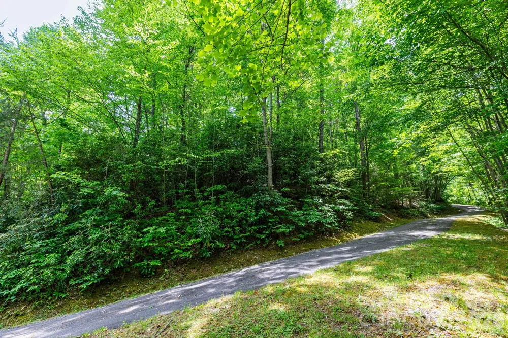 46 Widgeon Way Whittier, NC 28789