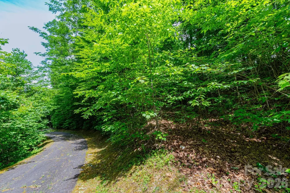 46 Widgeon Way Whittier, NC 28789