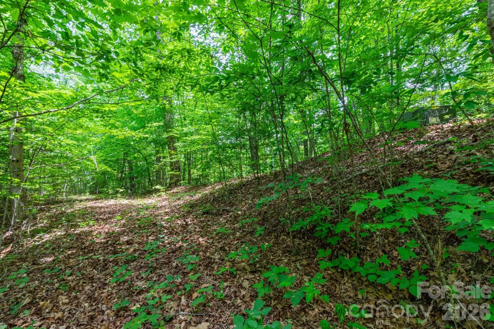46 Widgeon Way Whittier, NC 28789