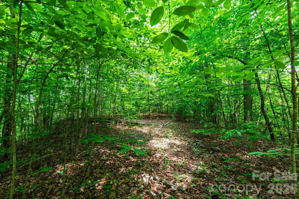 46 Widgeon Way Whittier, NC 28789