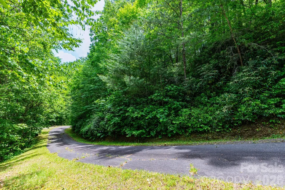 46 Widgeon Way Whittier, NC 28789