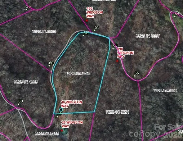 46 Widgeon Way Whittier, NC 28789