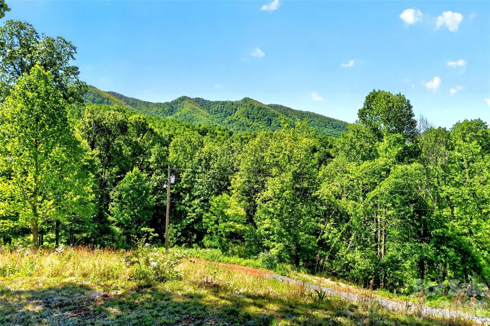 298 Wolf Crossing Bakersville, NC 28705