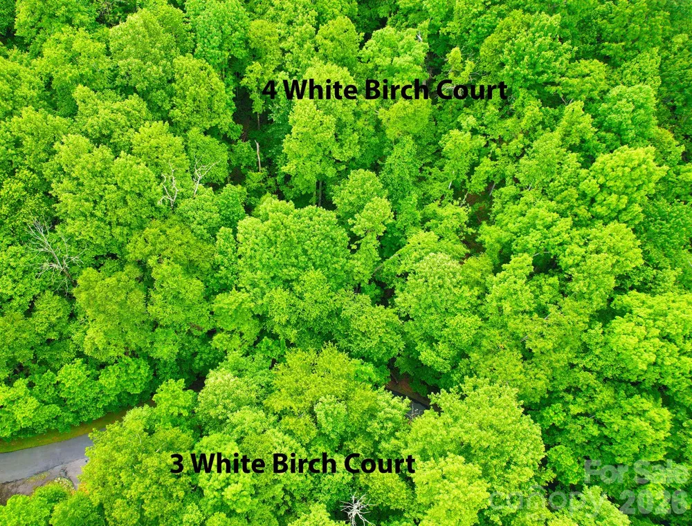 4 White Birch Court #422 Black Mountain, NC 28711