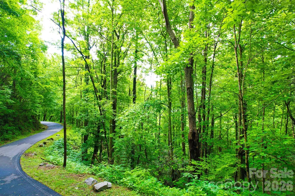 4 White Birch Court #422 Black Mountain, NC 28711