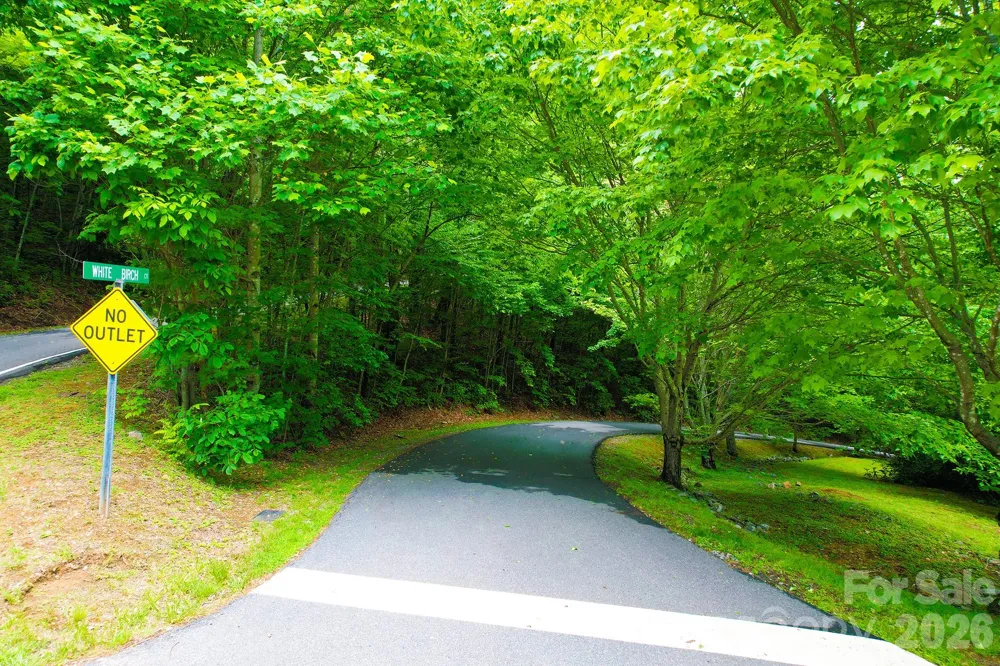 4 White Birch Court #422 Black Mountain, NC 28711