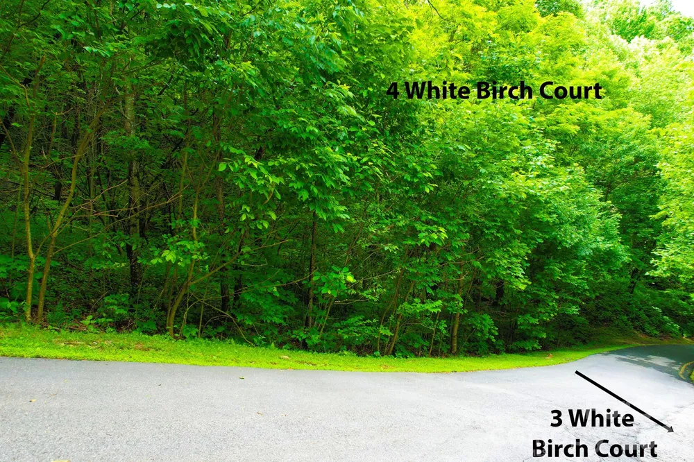 4 White Birch Court #422 Black Mountain, NC 28711