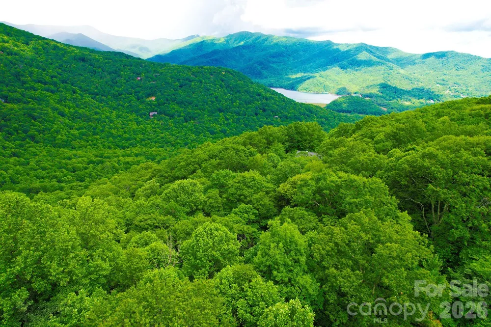 4 White Birch Court #422 Black Mountain, NC 28711