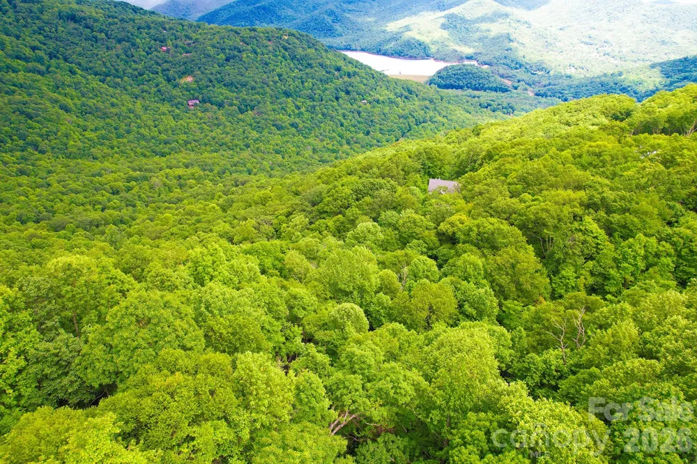 4 White Birch Court #422 Black Mountain, NC 28711