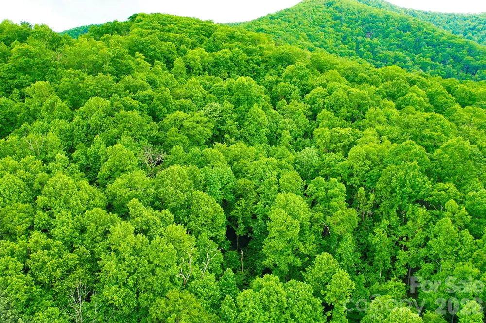 4 White Birch Court #422 Black Mountain, NC 28711