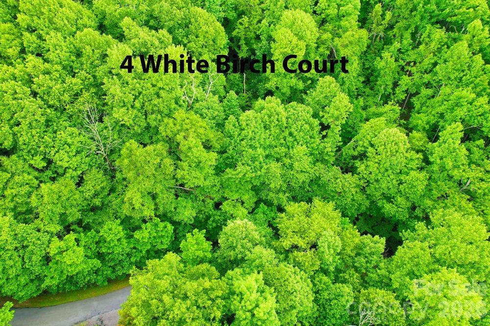 4 White Birch Court #422 Black Mountain, NC 28711