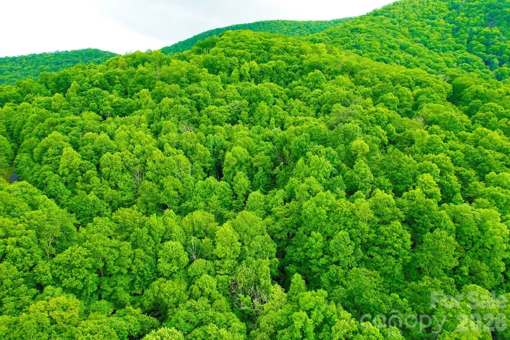 4 White Birch Court #422 Black Mountain, NC 28711