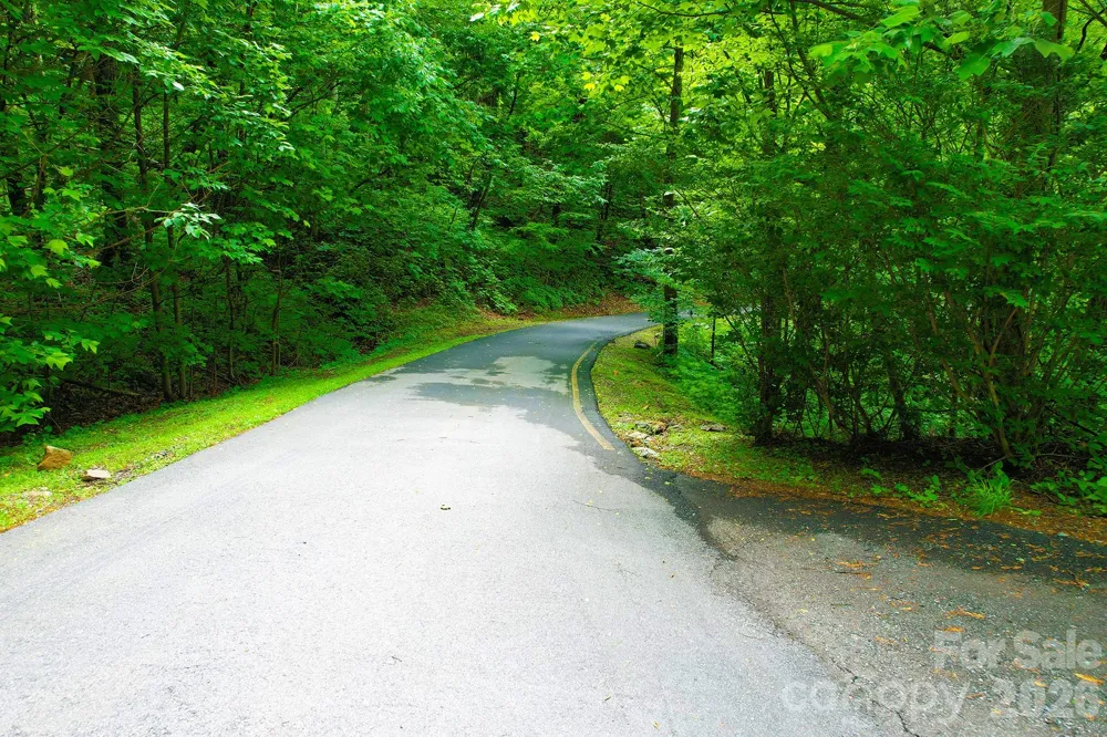 4 White Birch Court #422 Black Mountain, NC 28711