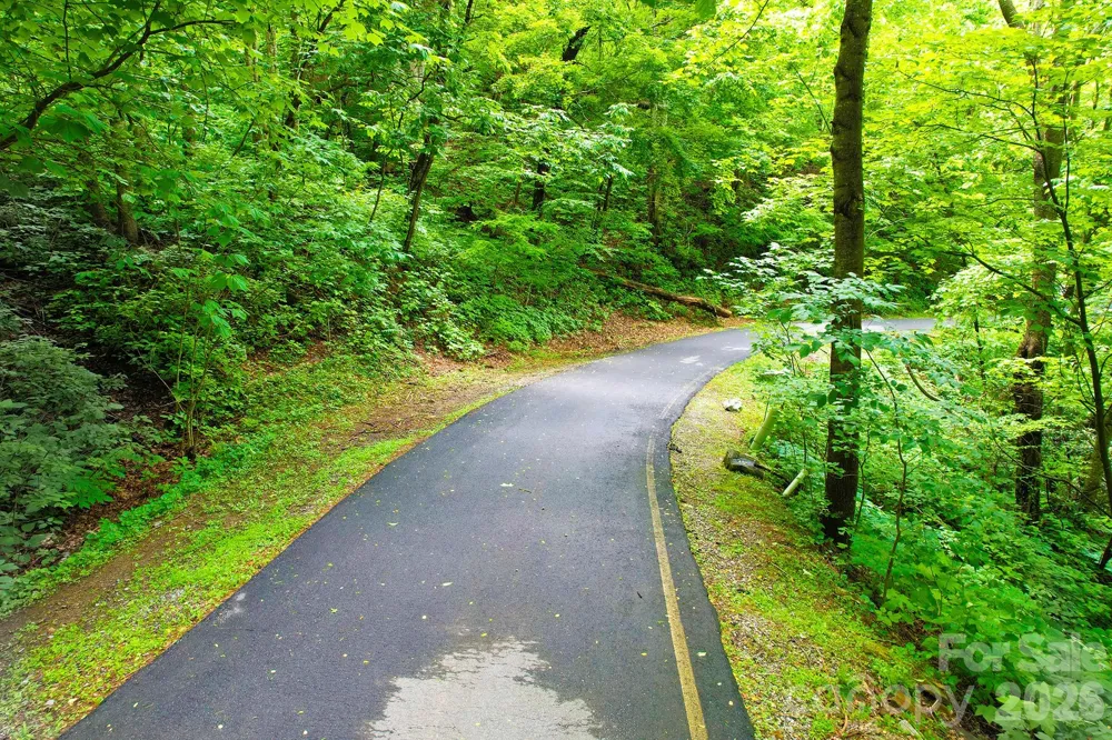 4 White Birch Court #422 Black Mountain, NC 28711