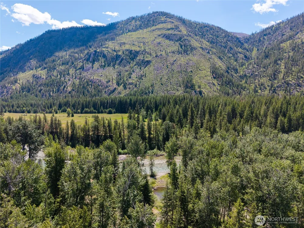 101 TBD Cassel Way Mazama, WA 98833