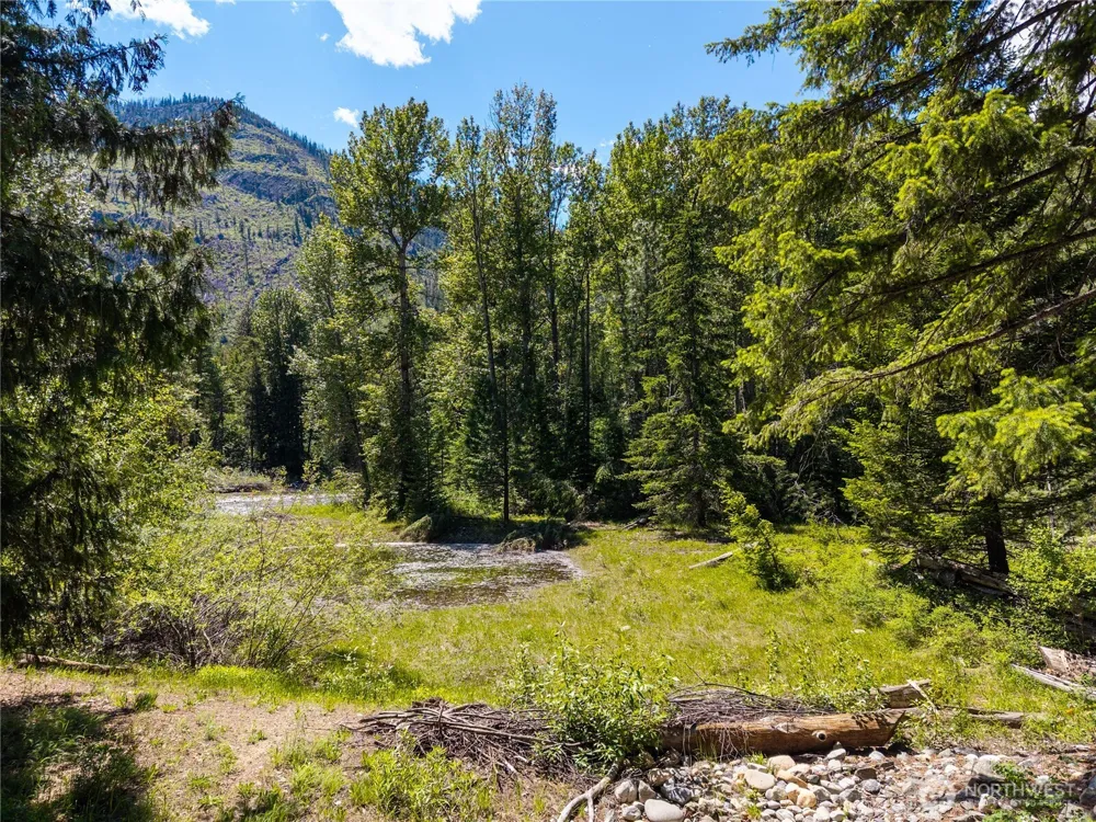 101 TBD Cassel Way Mazama, WA 98833