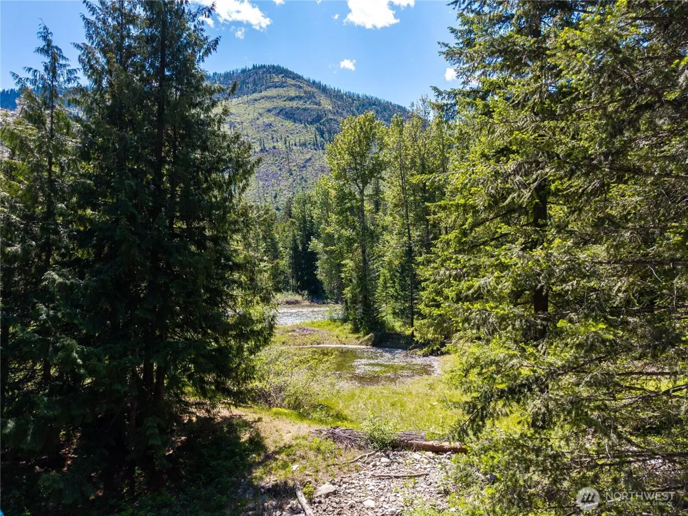 101 TBD Cassel Way Mazama, WA 98833