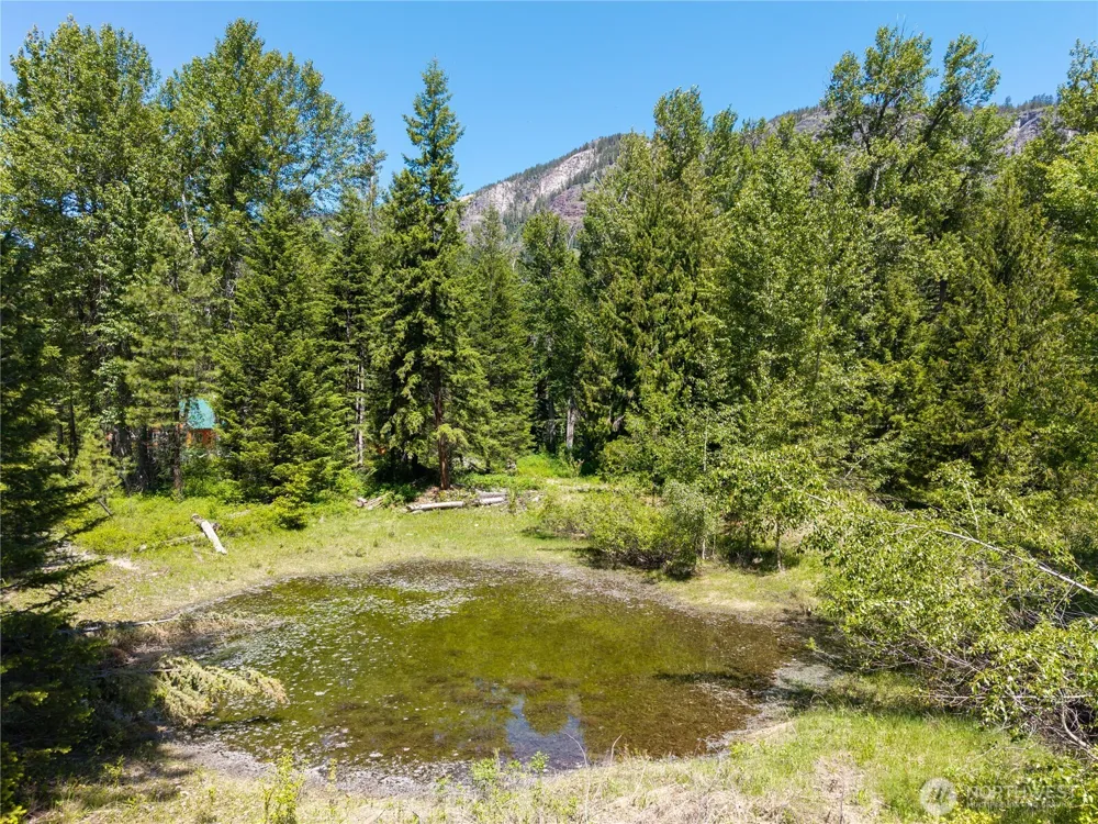 101 TBD Cassel Way Mazama, WA 98833