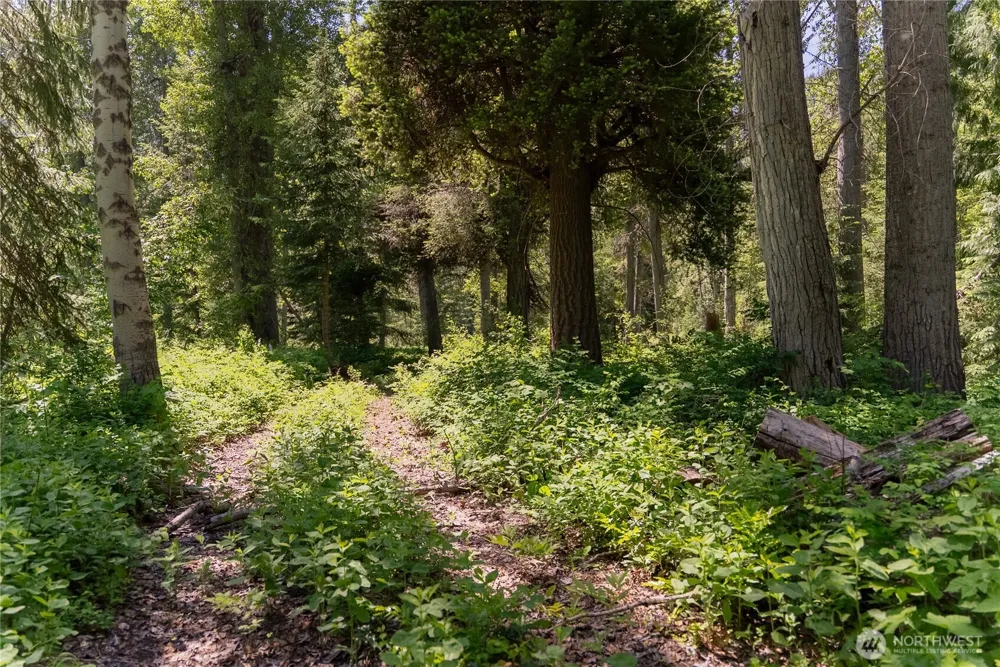 101 TBD Cassel Way Mazama, WA 98833