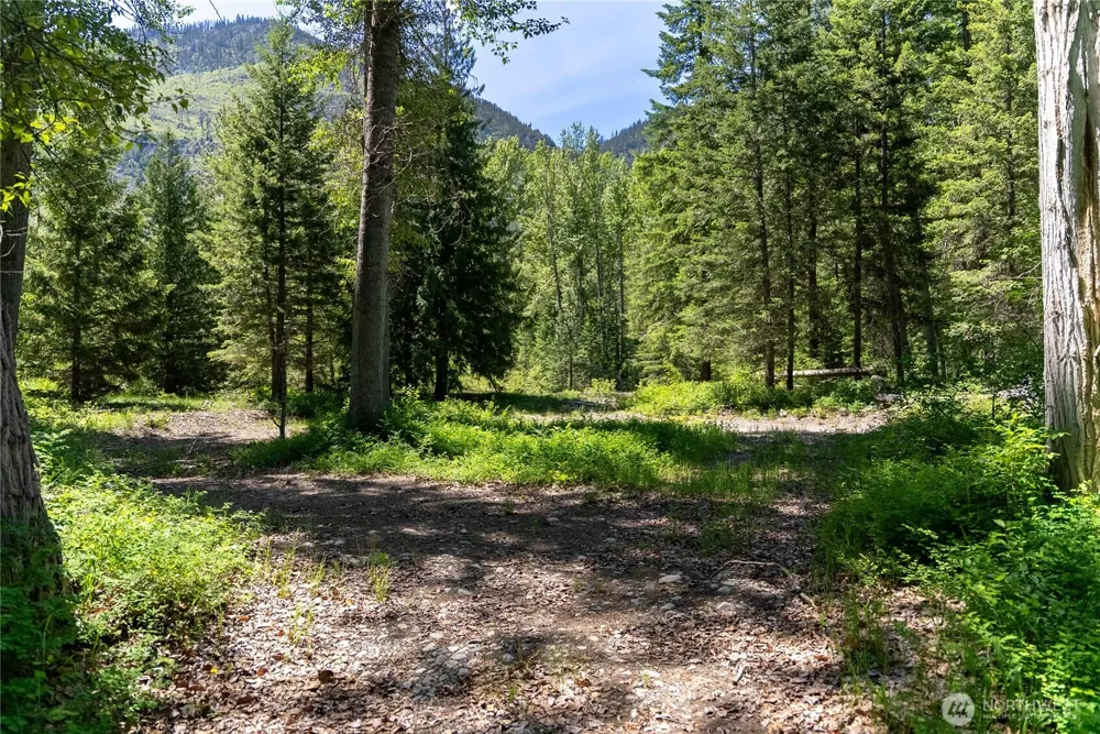 101 TBD Cassel Way Mazama, WA 98833