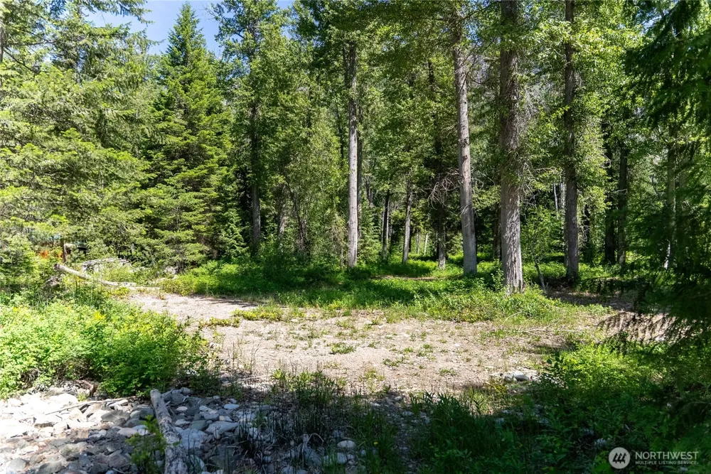 101 TBD Cassel Way Mazama, WA 98833