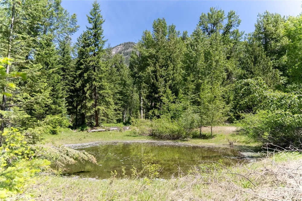 101 TBD Cassel Way Mazama, WA 98833