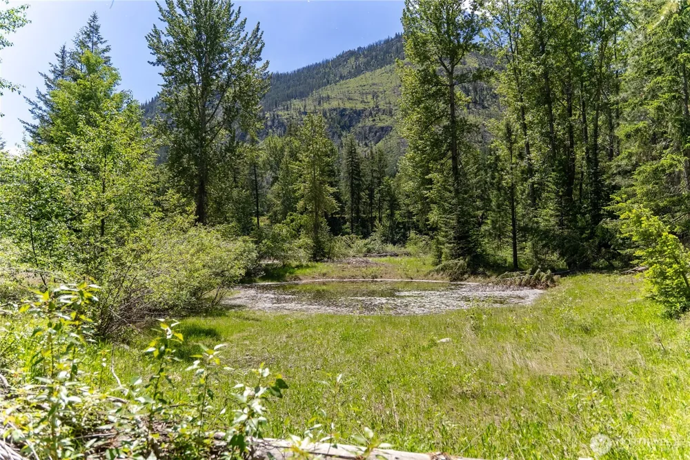 101 TBD Cassel Way Mazama, WA 98833