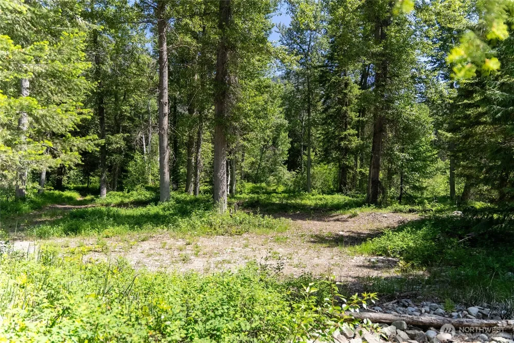 101 TBD Cassel Way Mazama, WA 98833