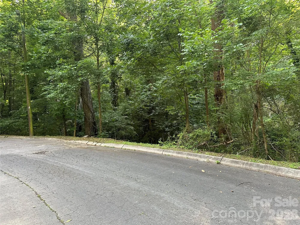 0 Briarcliff Road Rockwell, NC 28138