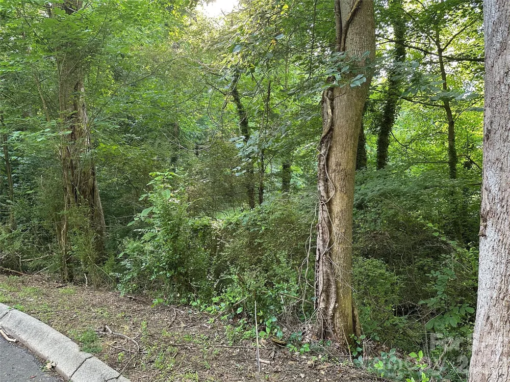 0 Briarcliff Road Rockwell, NC 28138
