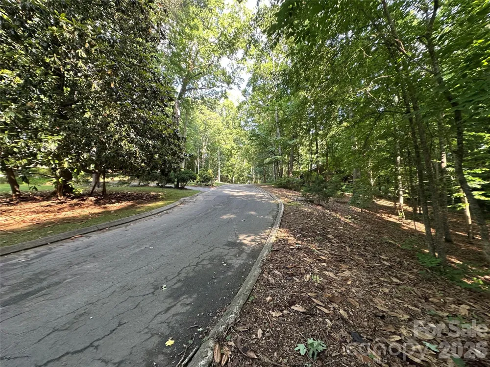 0 Briarcliff Road Rockwell, NC 28138