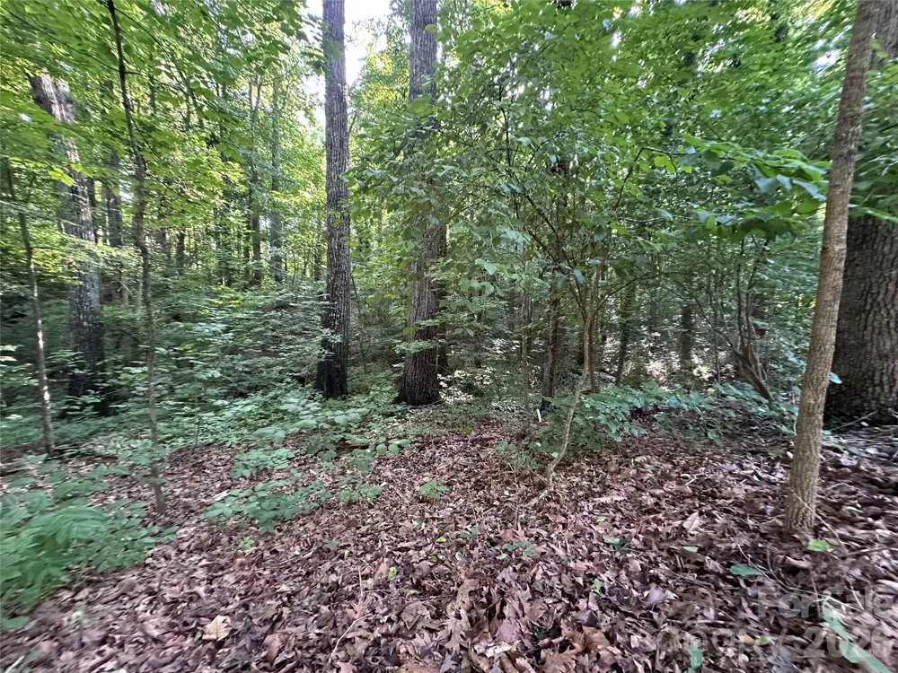 0 Briarcliff Road Rockwell, NC 28138