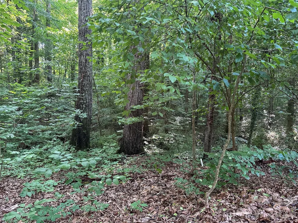 0 Briarcliff Road Rockwell, NC 28138