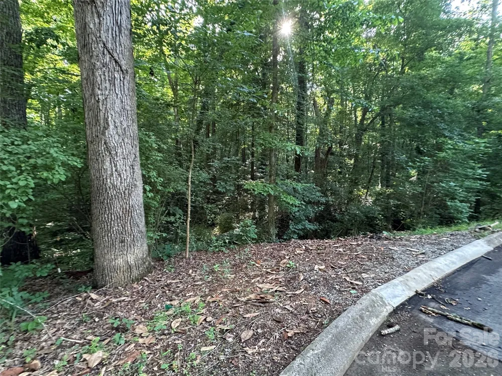 0 Briarcliff Road Rockwell, NC 28138