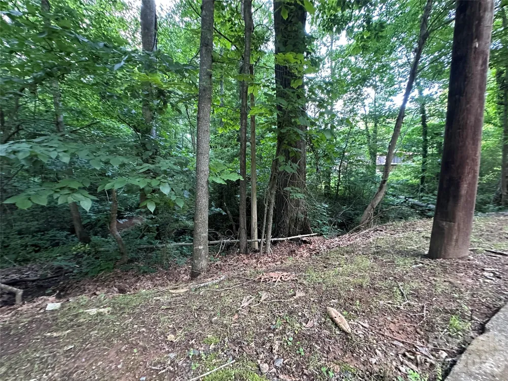 0 Briarcliff Road Rockwell, NC 28138