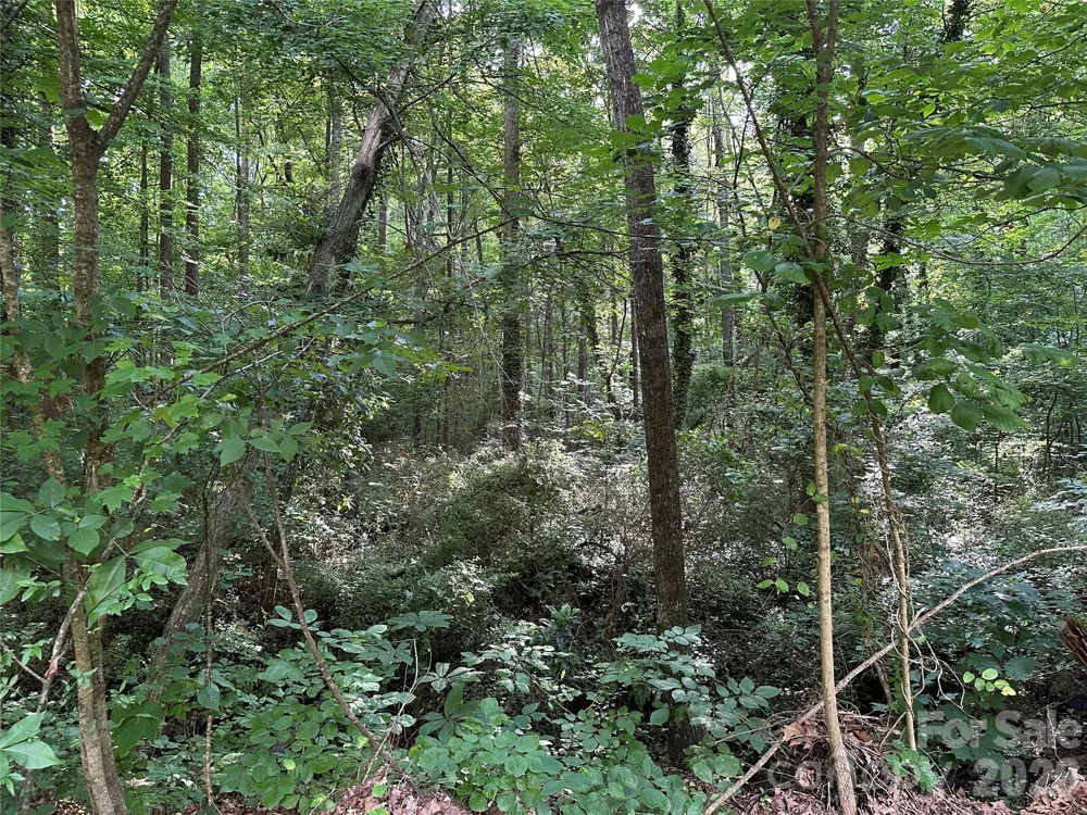 0 Briarcliff Road Rockwell, NC 28138