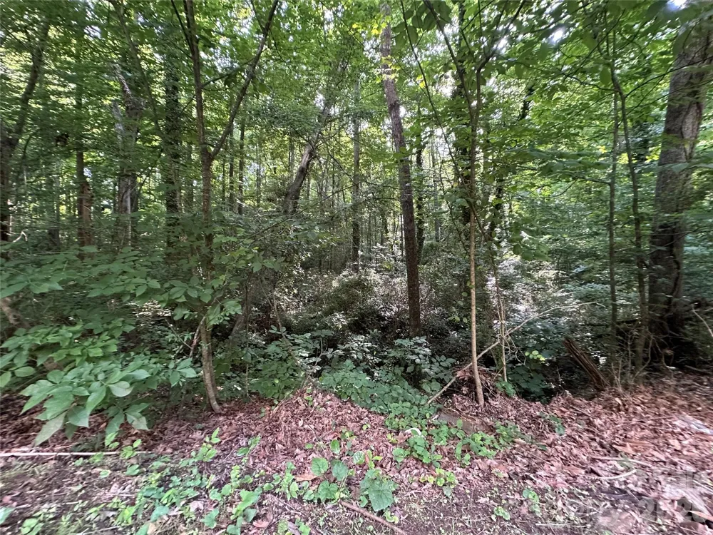 0 Briarcliff Road Rockwell, NC 28138
