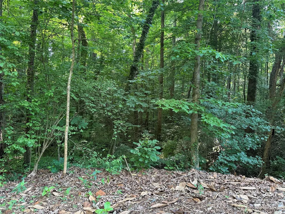 0 Briarcliff Road Rockwell, NC 28138
