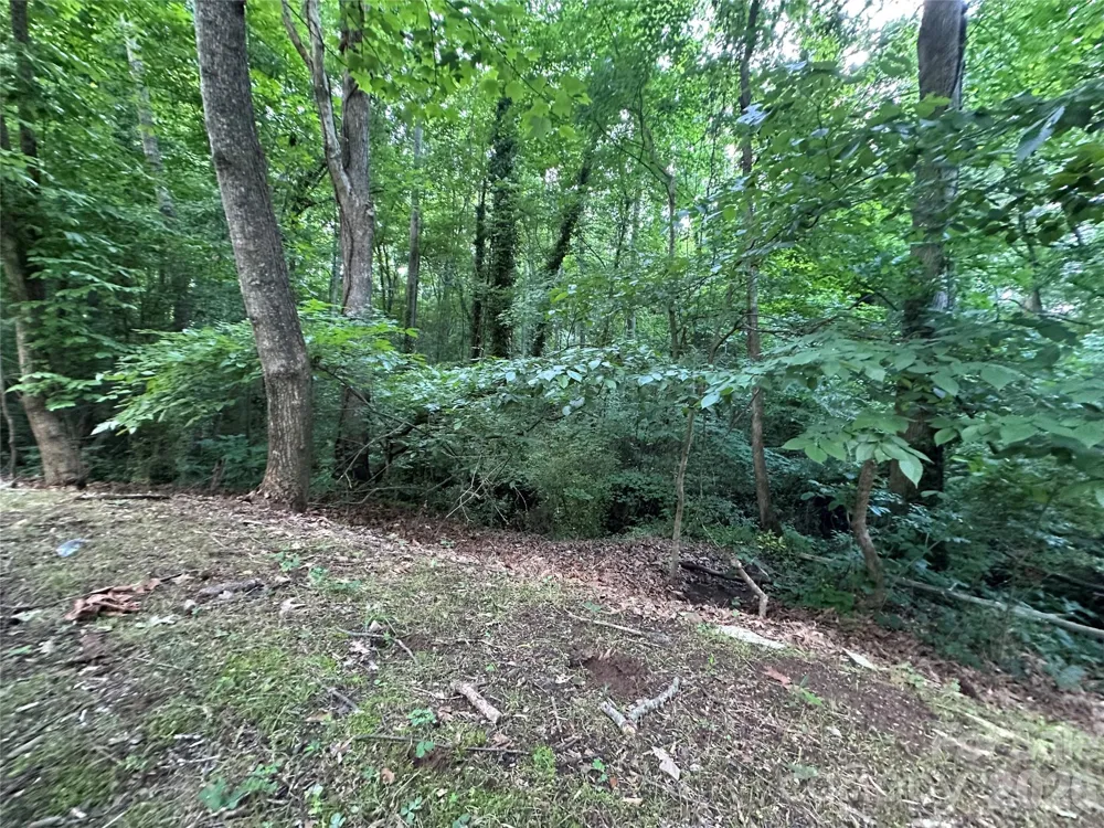 0 Briarcliff Road Rockwell, NC 28138