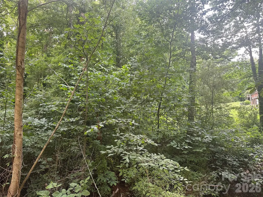 0 Briarcliff Road Rockwell, NC 28138