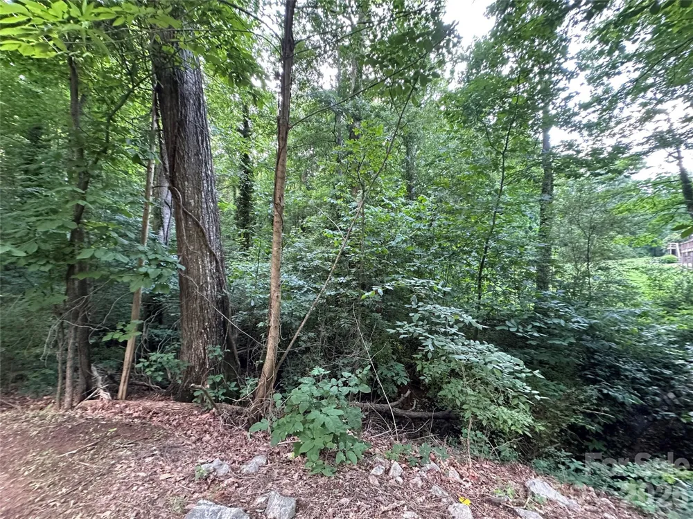 0 Briarcliff Road Rockwell, NC 28138