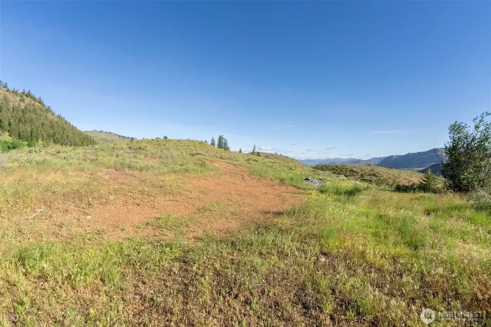 0 TBD Alder Road Twisp, WA 98856