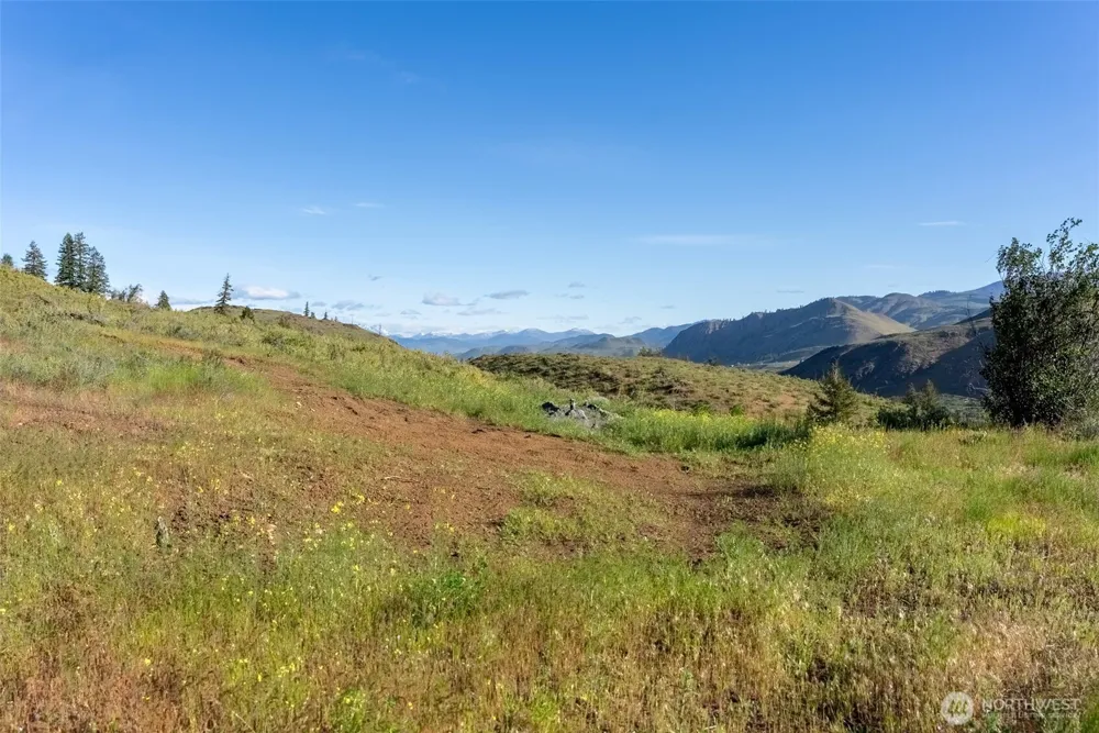 0 TBD Alder Road Twisp, WA 98856