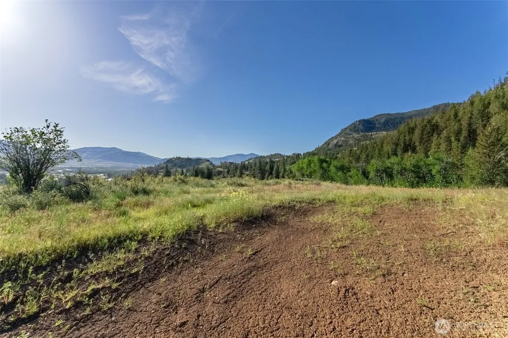0 TBD Alder Road Twisp, WA 98856
