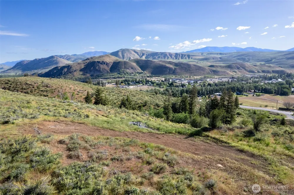 0 TBD Alder Road Twisp, WA 98856