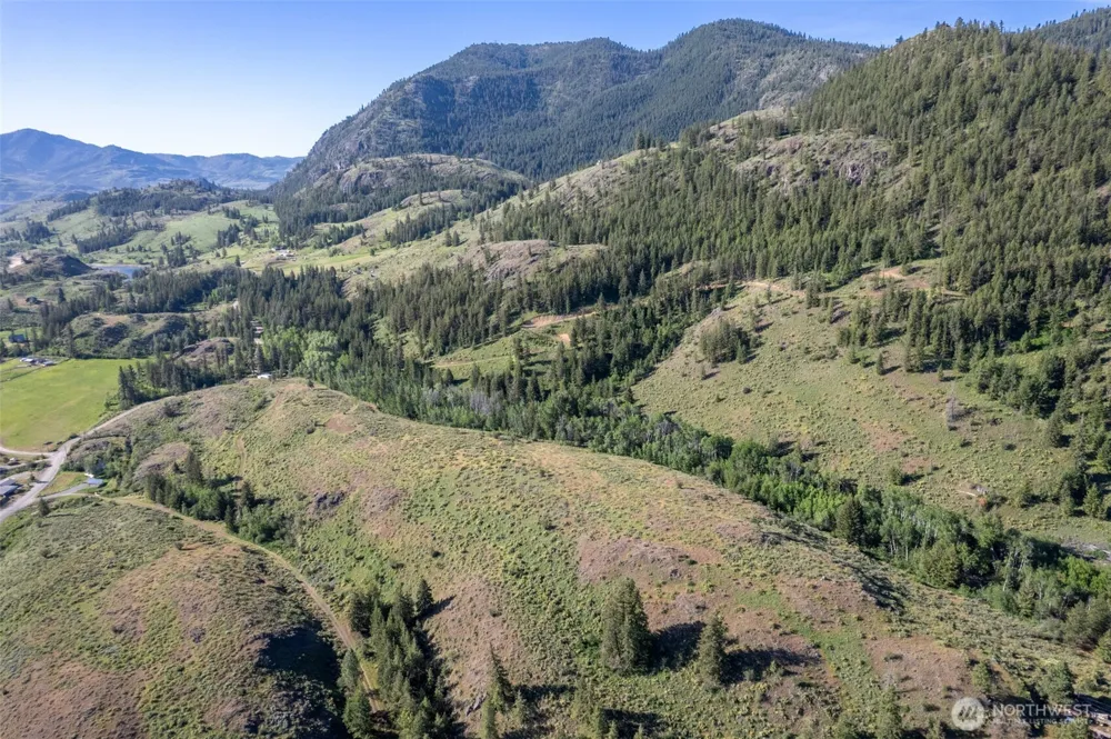 0 TBD Alder Road Twisp, WA 98856