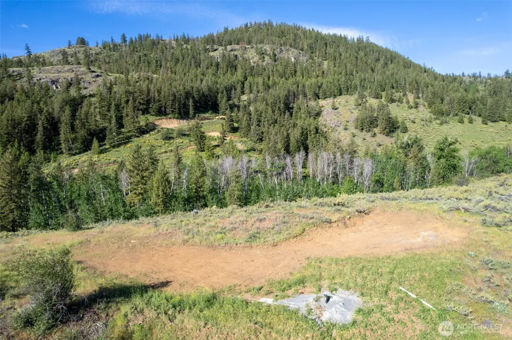 0 TBD Alder Road Twisp, WA 98856