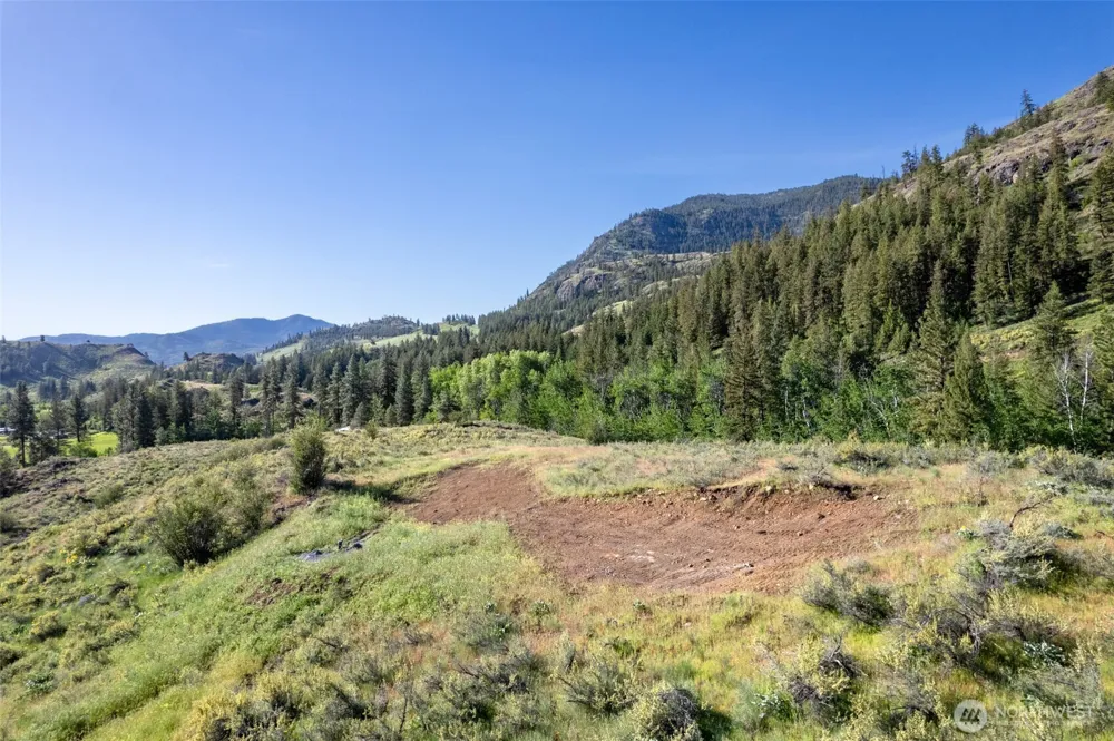 0 TBD Alder Road Twisp, WA 98856