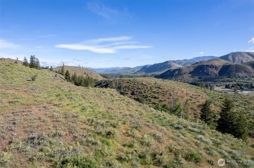 0 TBD Alder Road Twisp, WA 98856