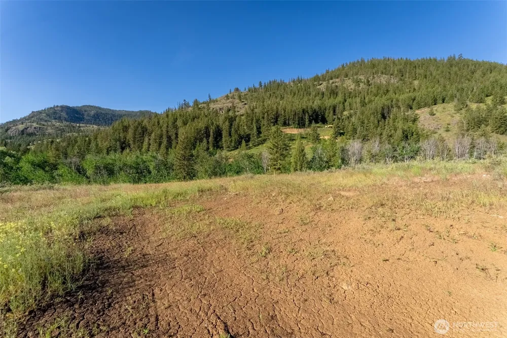 0 TBD Alder Road Twisp, WA 98856